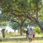 Guided nature walks are hosted on islands close to Camp Okavango