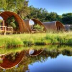 The unique architecture of the guest ''Masasas