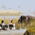 Sighting of majestic elephant on Camp Xakanaka's boating activity