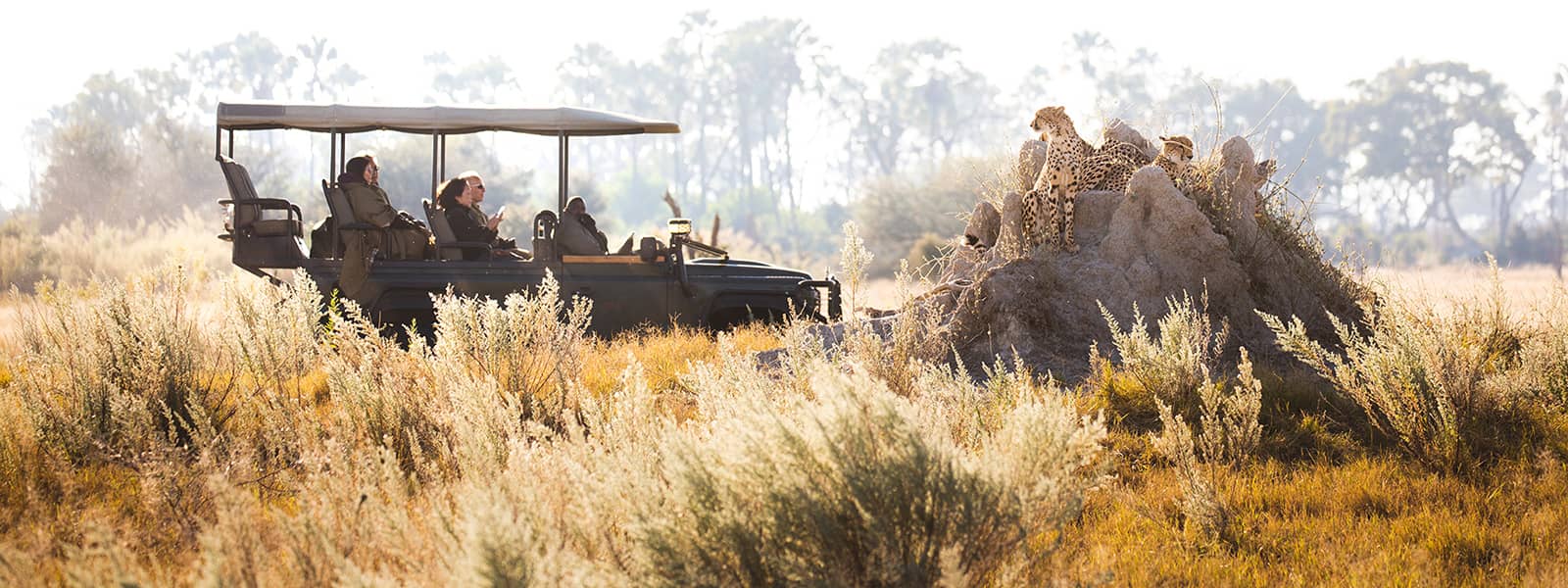 Chitabe offers game drives and bushwalks