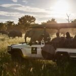 Chobe Chilwero guests enjoy an elephant sighting on afternoon game drive