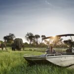 Boating Safari at Chobe Chilwero