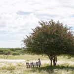 Lunch under a tree in Africa at Dinaka