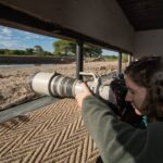 Waiting for the perfect image at Dinaka's waterhole photographic hide