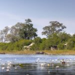The rooms seen from the lagoon at Duma Tau
