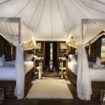 Twin bedded canvas tent with sweeping window vistas at Feline Fields