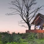 Exterior view of guest tent at Feline Fields Kalahari