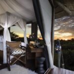 Feline Fields luxury tented suite with extensive view