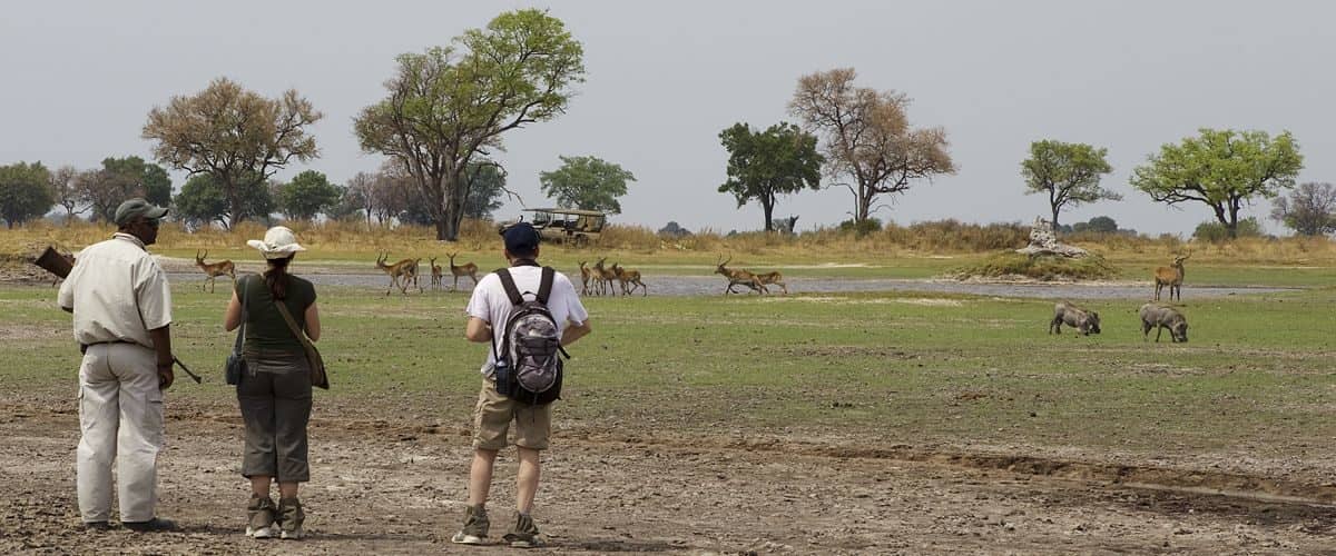 Guest viewing game from a distance on a morning guided bushwalk