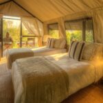 Kadizora's standard tents are smaller and more simple but comfortable