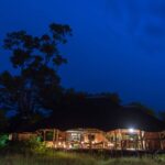 Thatched lodge illuminated at night surrounded by open grassland.