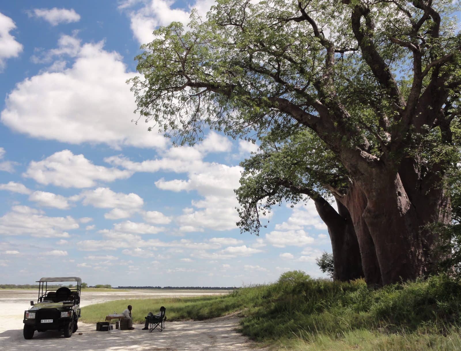 Day trip to Baines' Baobabs overlooking the salt pans