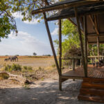 View of elephants walking across the plains seen from a safari tent veranda.