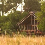 Safari tented cabin nestled among trees and tall grass in the African bush.