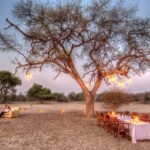 Dinner in the bush at twilight courtesy of Leroo Le Tau