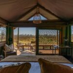 The guest tents look over the pretty grasslands of the Okavango