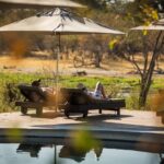 Shaded loungers with wilderness views at Machaba