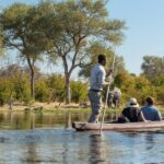 Guided mokoro excursions from Machaba Camp are a favourite guest activity