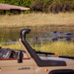 Machaba Camp game drive in Khwai area viewing hippos