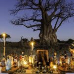 Sundowners against backdrop of magnificent baobab tree at Mombo