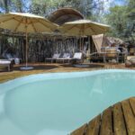 Shade giving umbrellas surround Okuti Camp's swimming pool