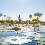 Mokoro canoe on a water lily-filled channel in the Okavango Delta near Pom Pom Camp.
