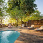 Wooden pool deck with loungers surrounded by trees at Pom Pom Camp.