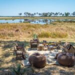 Bush Picnic lunch courtesy of Qorokwe Camp
