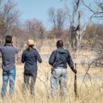 A professionally guided bush walk from Qorokwe Camp
