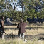 A professionally guided bush walk from Savuti Camp is a thrilling experience