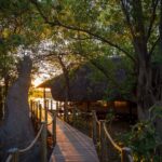 A sunlit walkway from guest suite leads towards Savuti's main area
