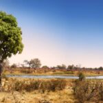 Aerial view of guest tent within Selinda Reserve