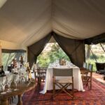 The simple yet stylish tented dining area at Selinda Explorers Camp