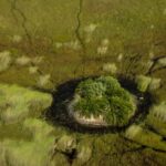 The Selinda causeway home of Great Plains Conservations' Selinda Camp