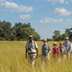 Guided walk through the wilderness hosted by Xugana Lodge