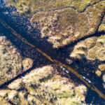 Explore the Okavango by Mokoro, aTraditional dug out canoe, at Xugana Island Lodge