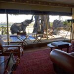 Elephant visitor to the exceptional Zarafa Camp