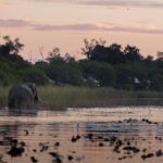 Elephant in the water in front of Little DumaTau