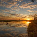 Sunrise over calm water with trees and clouds reflecting on the lagoon.