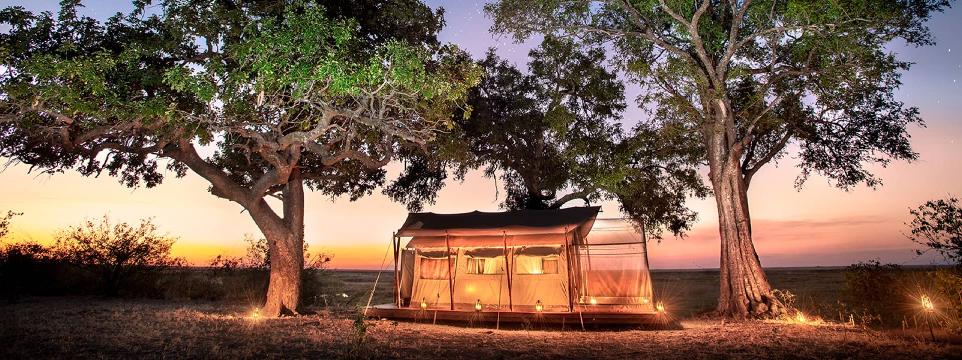 Linyanti Expeditions safari tent illuminated at sunset between large trees in Botswana.