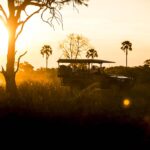 Little Mombo game drive against a backdrop of typical Delta vegetation with palm trees