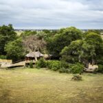 Little Mombo is located on Mombo Island within Moremi Game Reserve