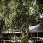 Exterior view of Little Mombo guest tent with trees