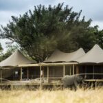 Little Mombo Camp exterior view