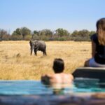 Elephant sighting as viewed from the swimming pool at Little Machab