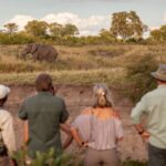 Guided bush walk with guests from Little Machaba Camp