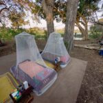 Okavango Horse Safaris Fly camp beds are protected by mosquito nets