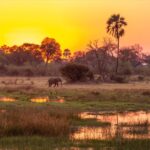 Beautiful sunsets at Maru Camp