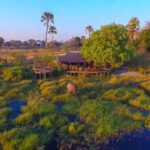Delta Camp aerial view