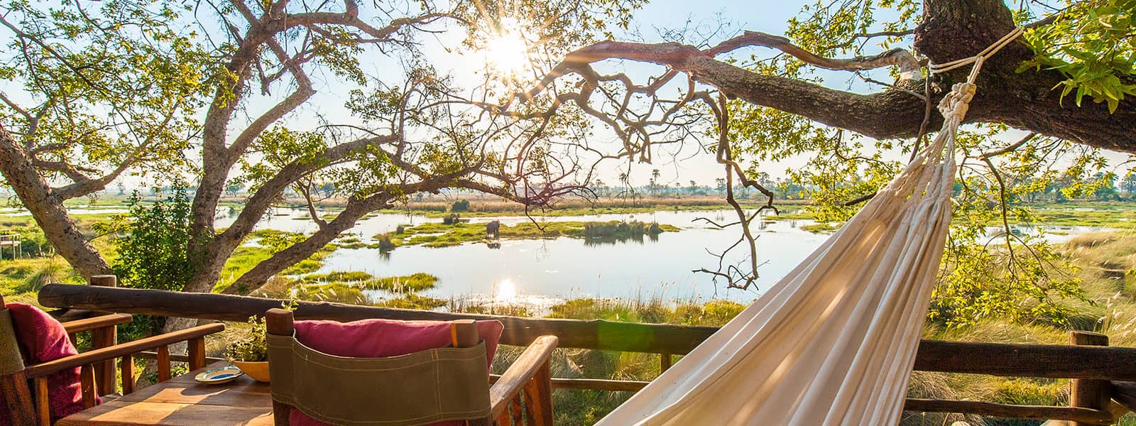 Delta Camp hammock from guest tent